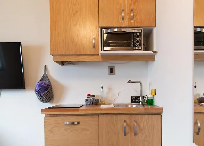 Encantador Estudio Privado Con Bano Y Kitchenette Apartment