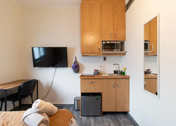Encantador Estudio Privado Con Bano Y Kitchenette * Mexico City